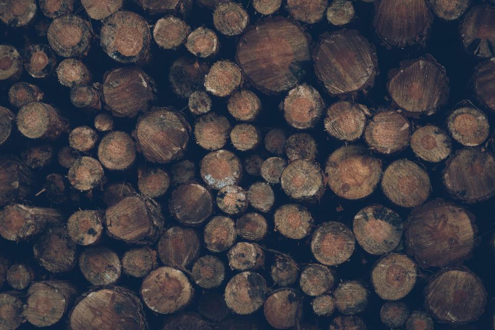 Free Image of Close Up of a Pile of Logs 