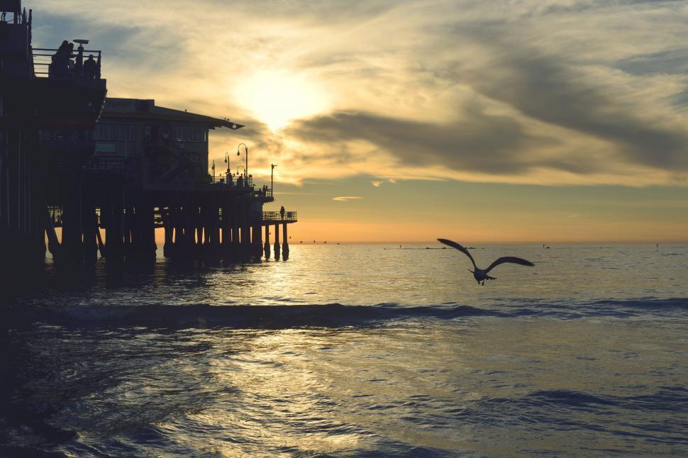 Free Image of Bird Flying Over Water Near Pier 