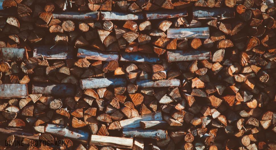 Free Image of Stack of Wood Logs Arranged Neatly 