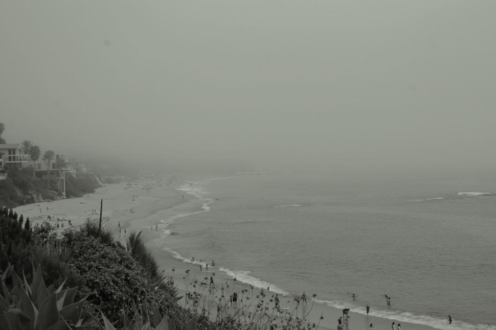 Free Image of Foggy Beach Scene in Black and White 
