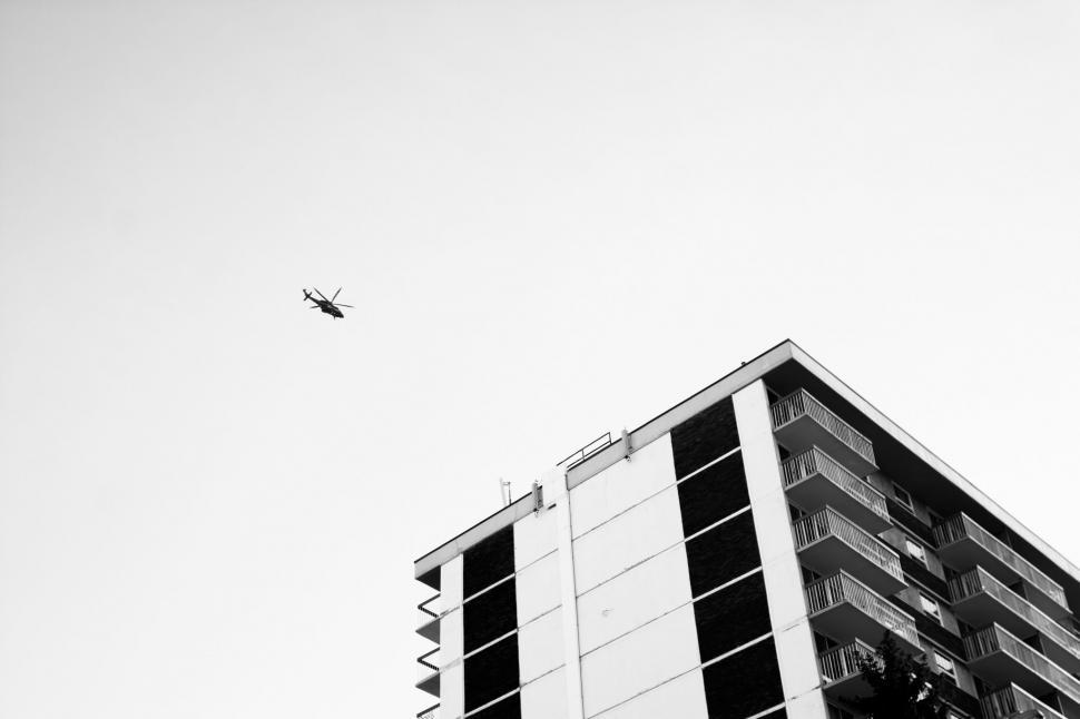 Free Image of Bird Flying Over Building 