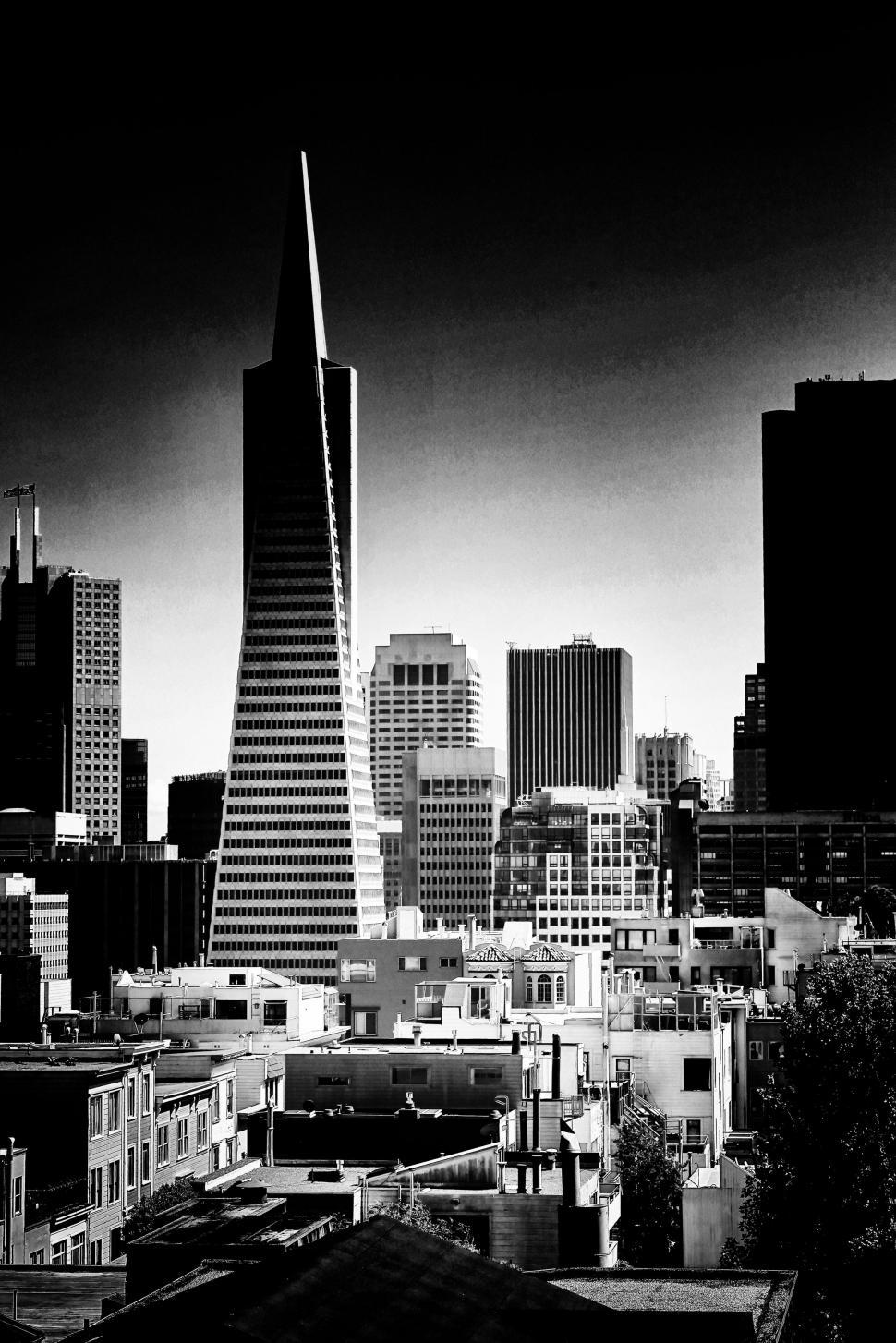 Free Image of Urban Skyline in Black and White 