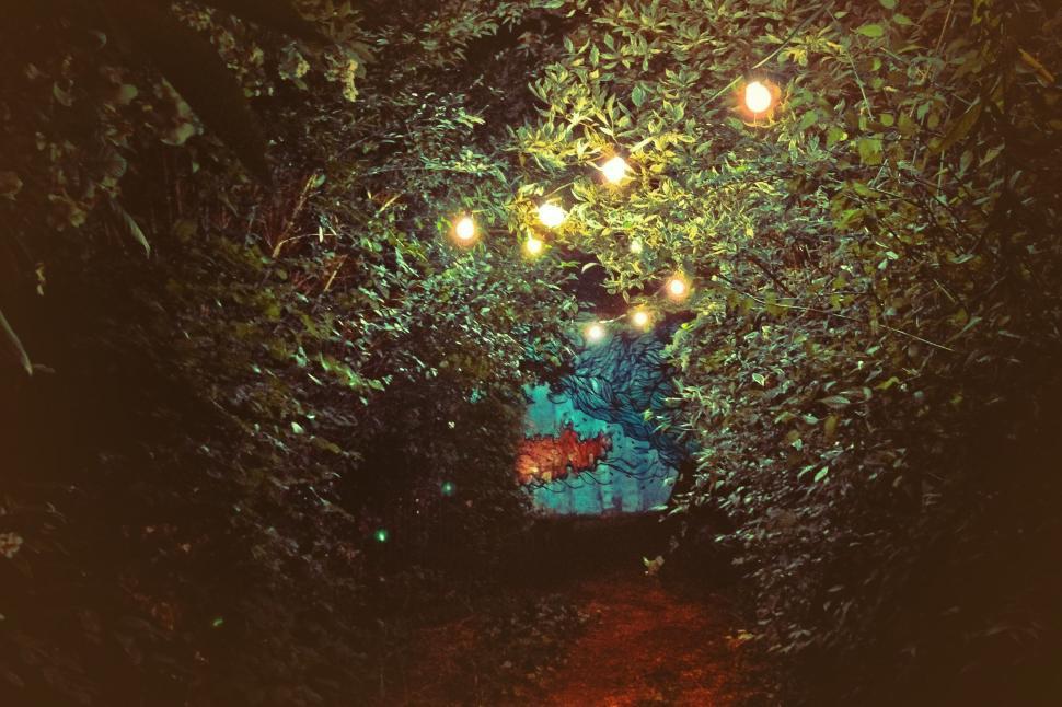 Free Image of Illuminated Tunnel Showing Lights 