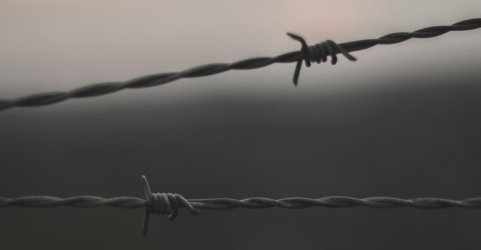 Free Image of Barbed Wire Fence in Black and White 