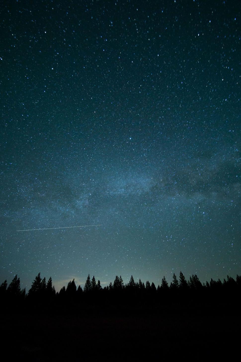 Free Image of Starry Night Sky With Trees in Foreground 