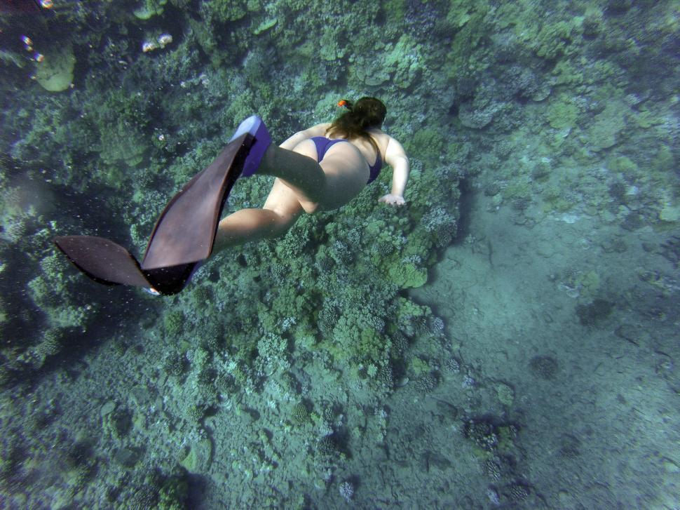 Free Image of Woman in Bikini Diving in the Ocean 