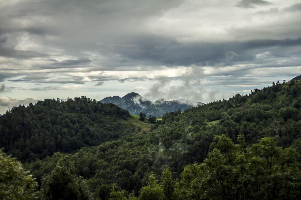 Free Image of Majestic Forest With Mountains in the Background 