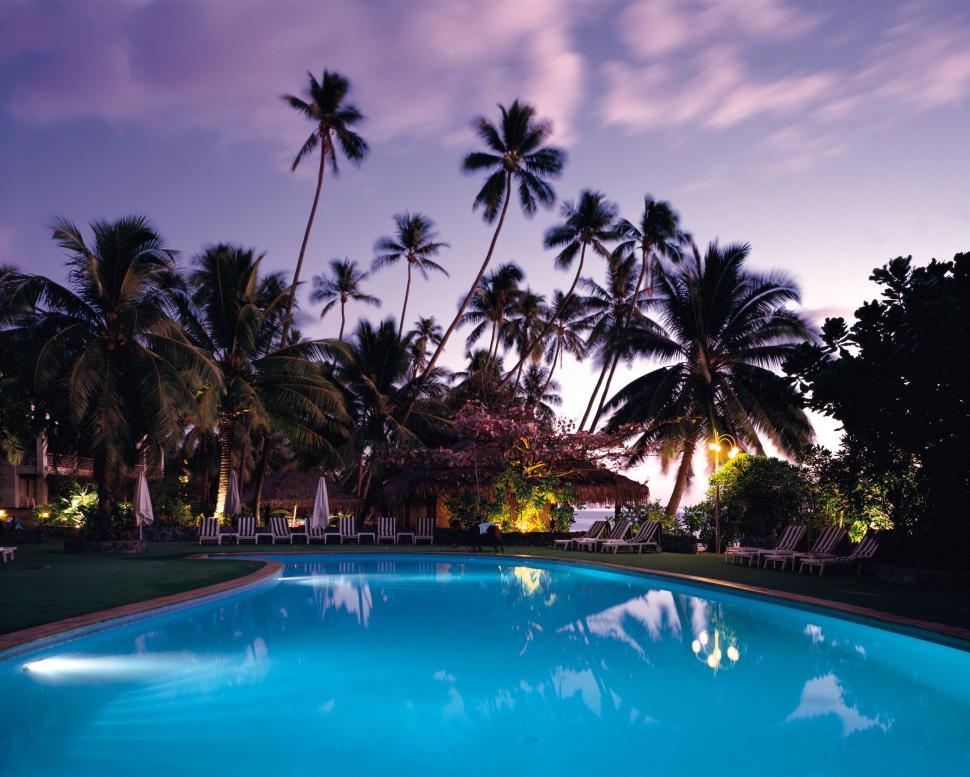Free Image of Large Swimming Pool Surrounded by Palm Trees 