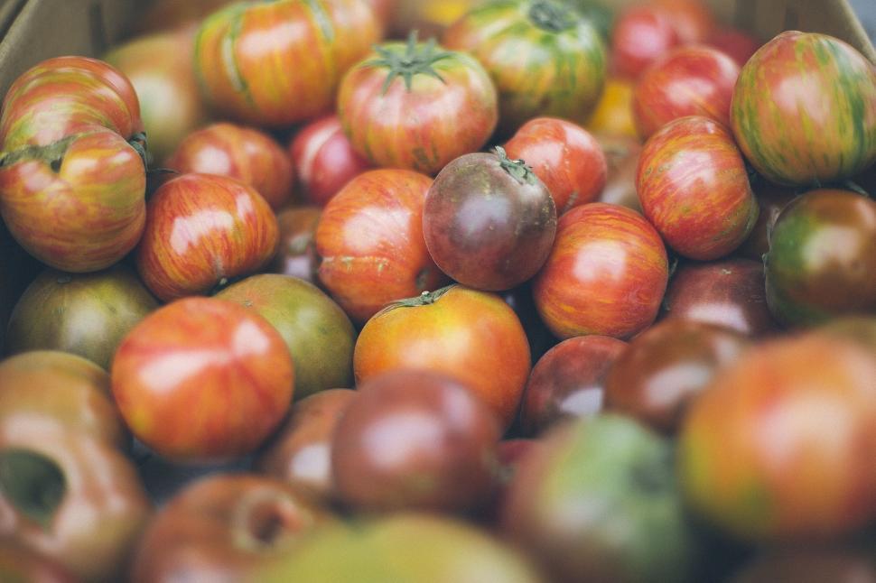 Free Image of Box Filled With Red and Green Tomatoes 