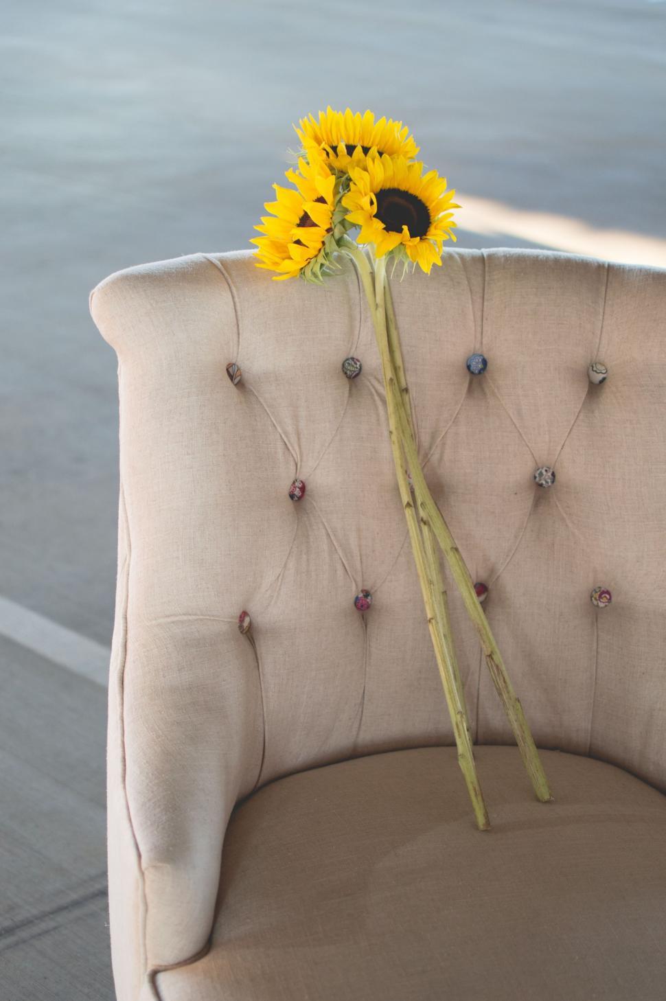 Free Image of Chair With Sunflower 