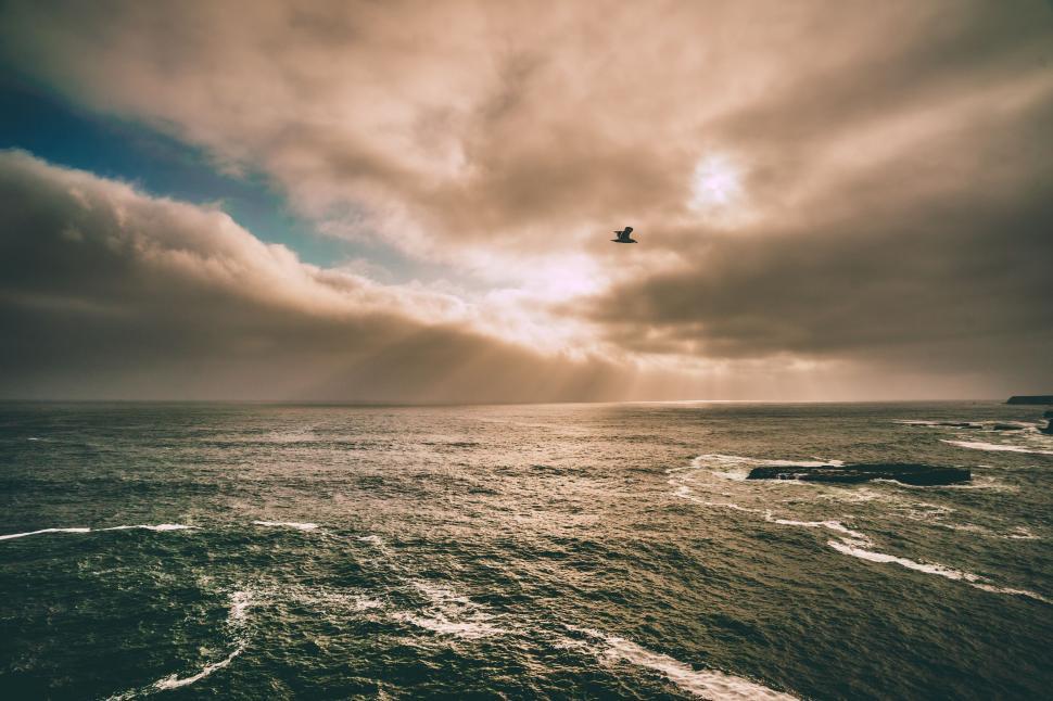 Free Image of Bird Flying Over Ocean Under Cloudy Sky 