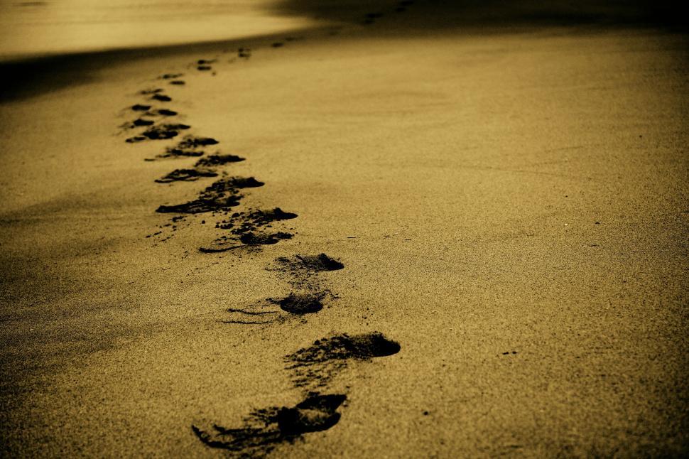 Free Image of Long Line of Footprints in Black and White 
