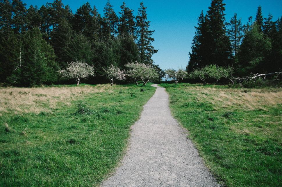 Free Image of A Path Cutting Through a Grassy Field 