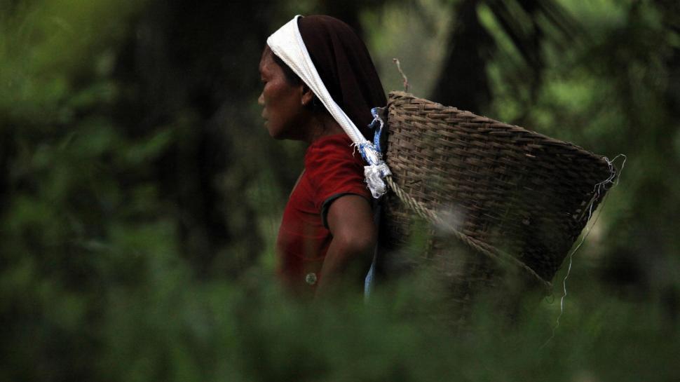 Free Image of Woman Carrying Basket Through Forest 