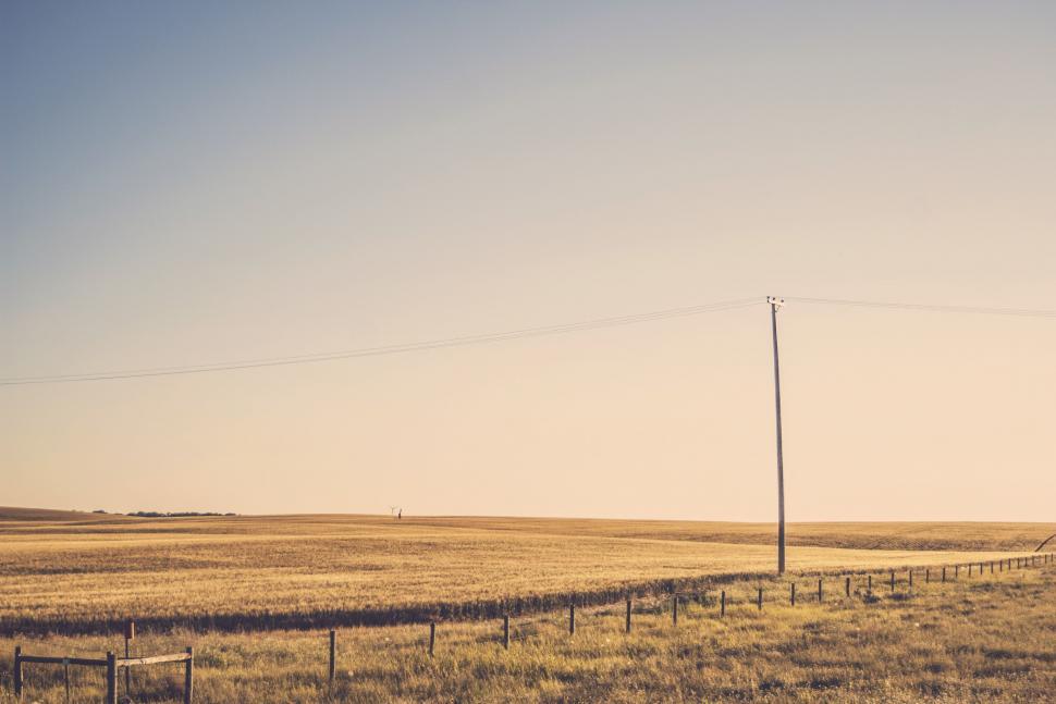 Free Image of Telephone Pole Standing in a Field 