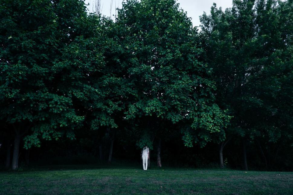 Free Image of Person Standing in Field Surrounded by Trees 
