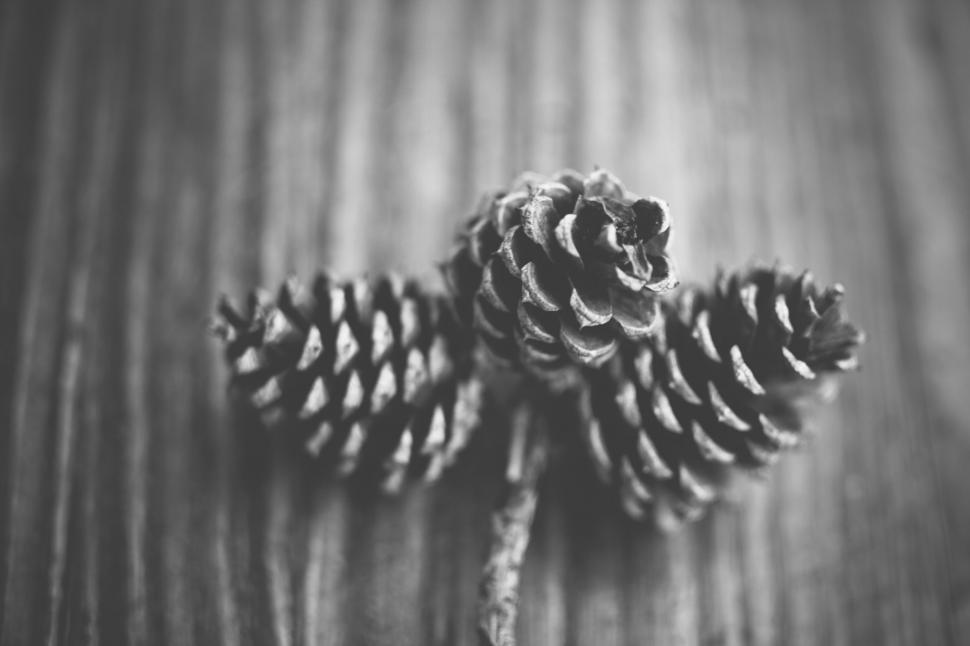 Free Image of Two Pine Cones on Wooden Table 