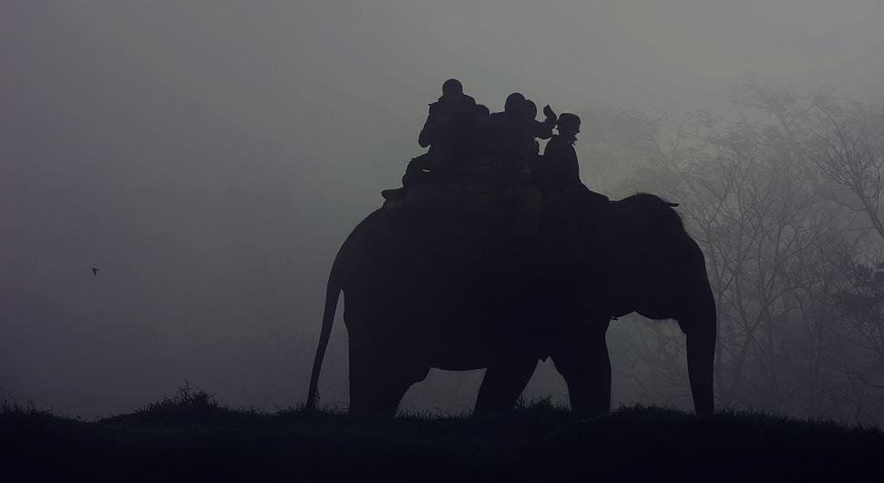 Free Image of Group of People Riding on the Back of an Elephant 