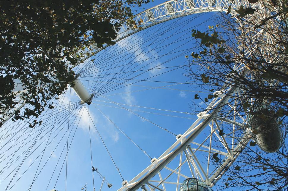Free Image of Ferris Wheel Seen Through Trees 