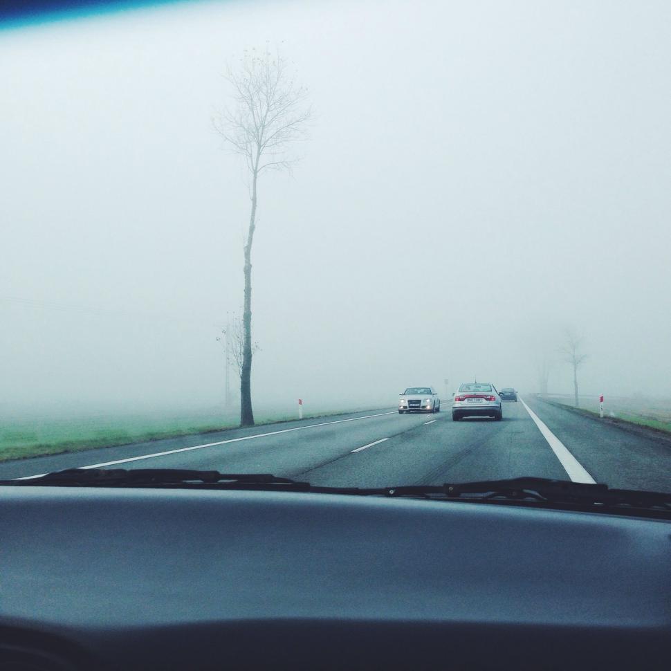 Free Image of Car Driving Down Foggy Road Next to Tall Tree 