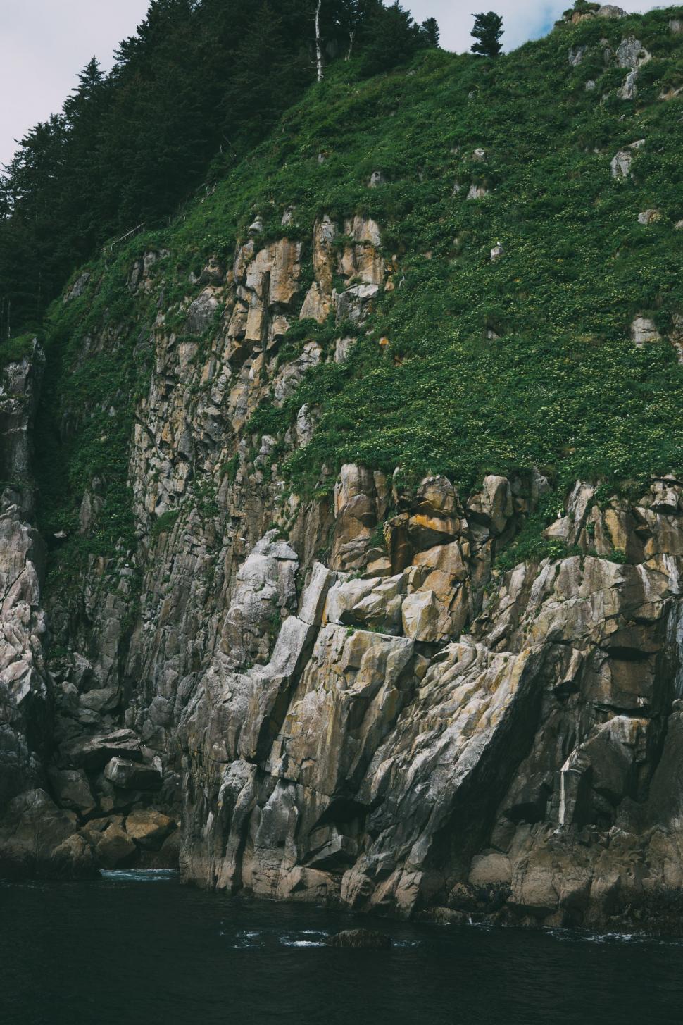 Free Image of Majestic Cliff With Forest 