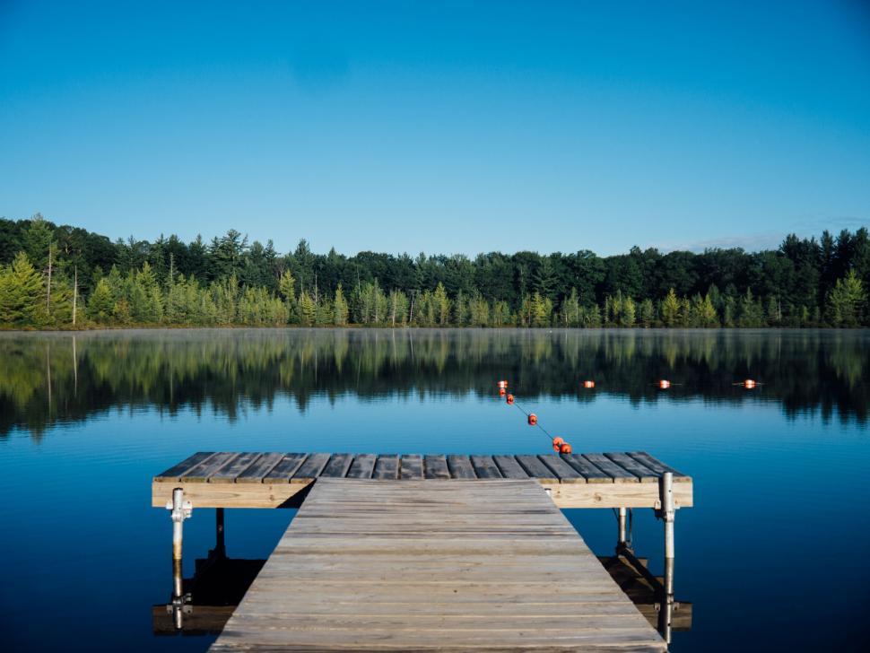 Free Image of Wooden Dock on Lake by Forest 