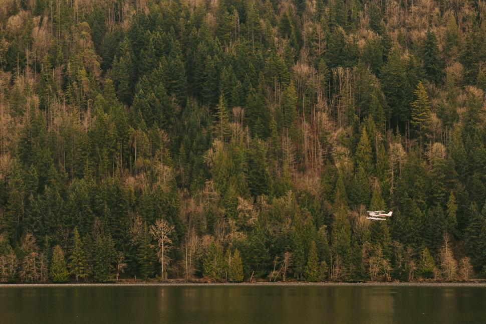 Free Image of Boat Floating on Lake by Forest 