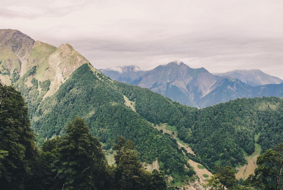 Free Image of Majestic Mountain Range With Trees 