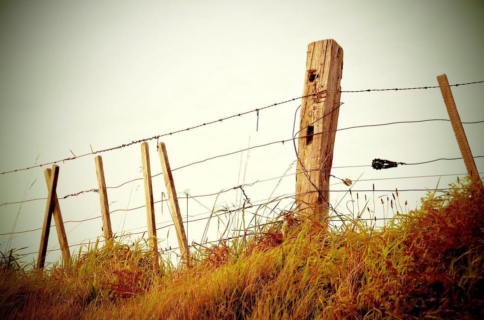 Free Image of Bird Perched on Barbed Wire Fence 