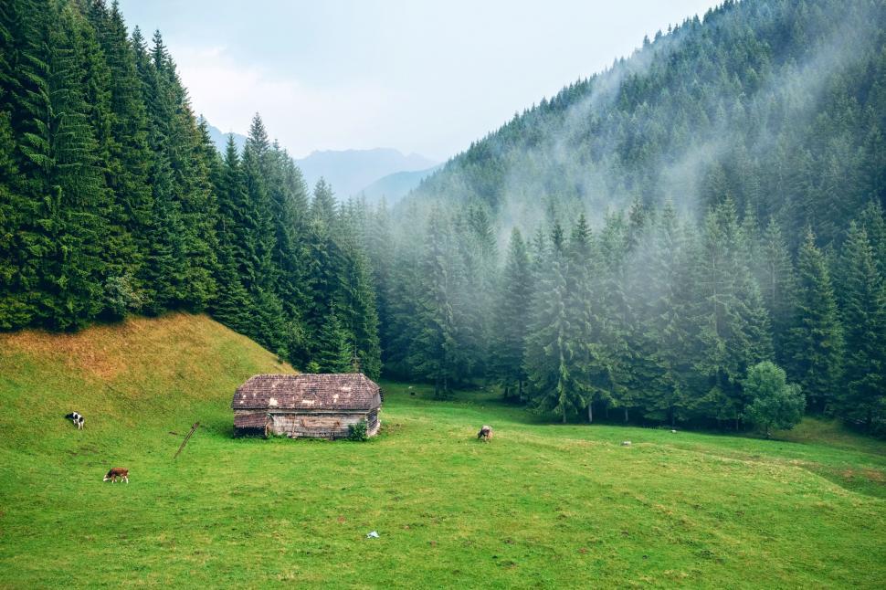 Free Image of Grassy Field With Hut 
