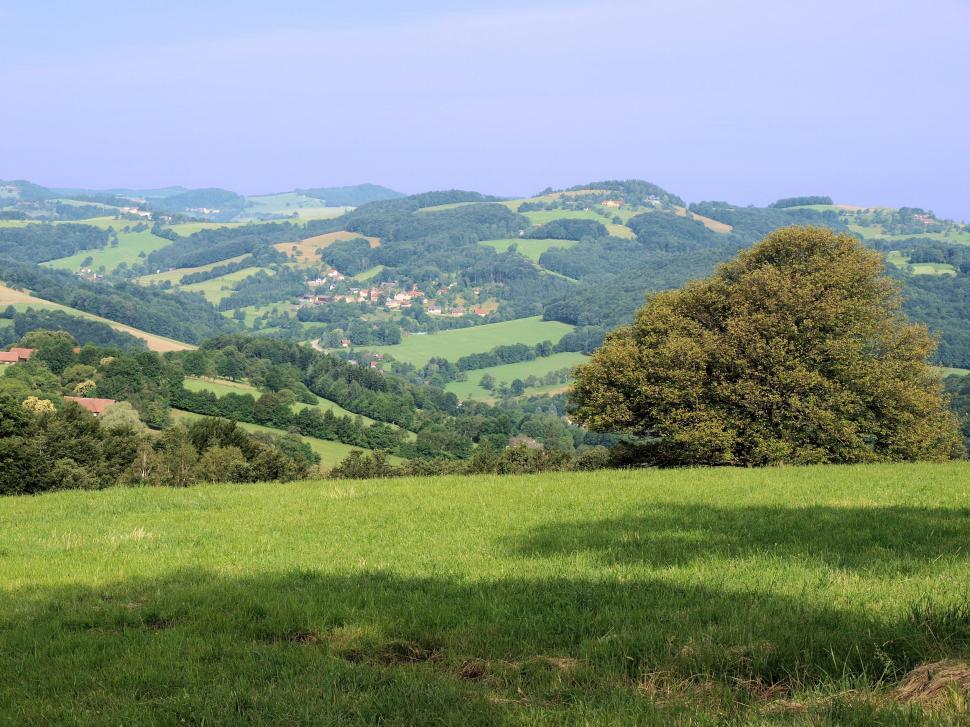 Free Image of Grassy Field With Trees and Hills 