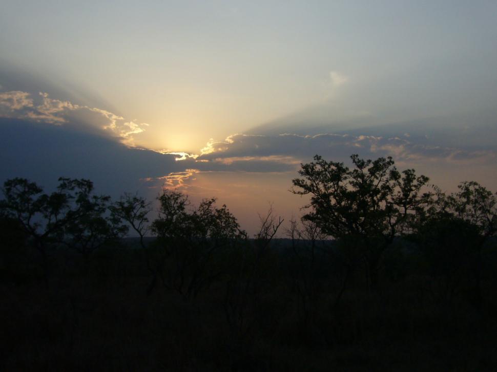 Free Image of Sunset in South African Game Reserve 