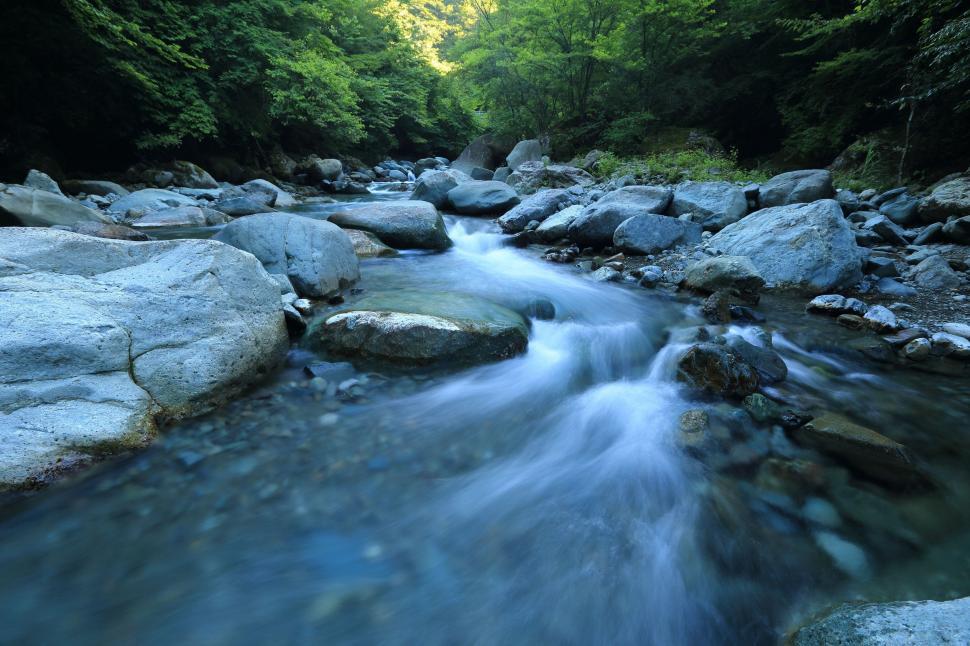 Free Image of River Flowing Through Lush Green Forest 