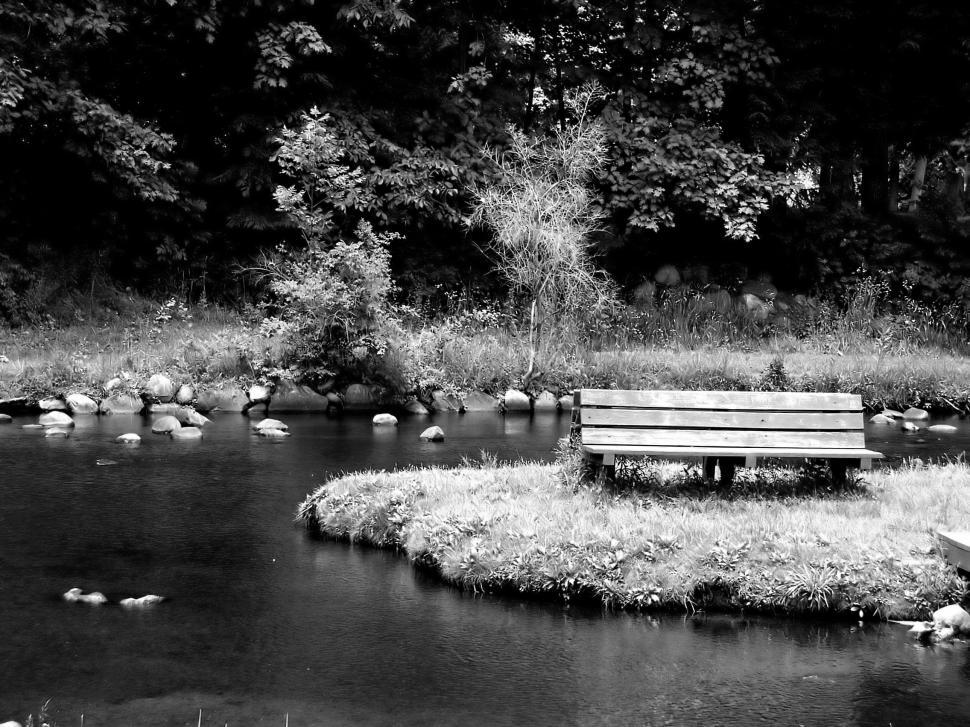 Free Image of Empty Park Bench 