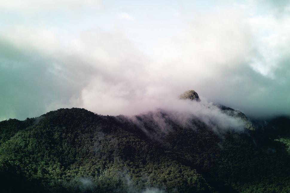 Free Image of Mountain Covered in Clouds With Bird Flying Over It 