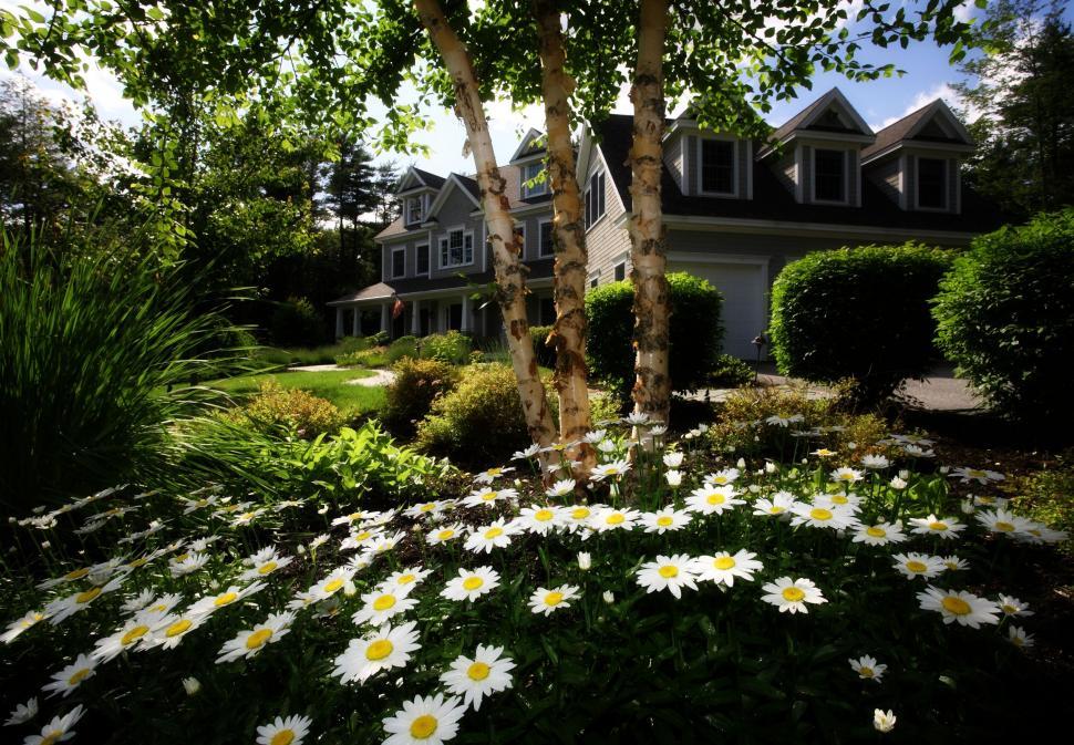 Free Image of House Adorned With Abundant Flowers 