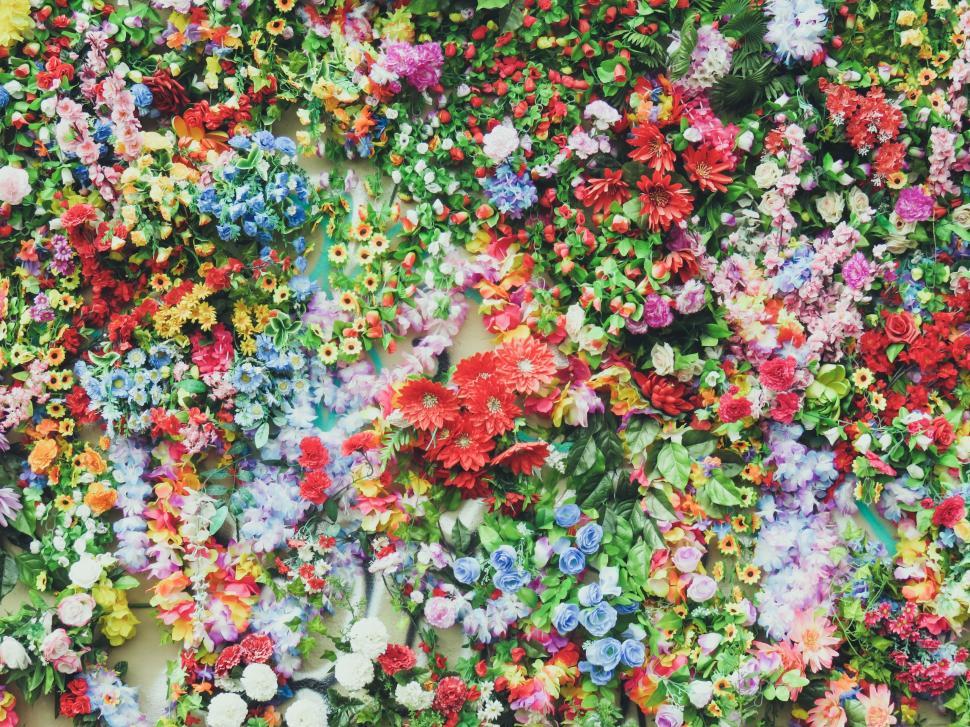 Free Image of Wall Covered in Colorful Flowers 