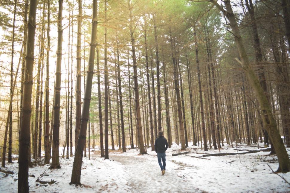 Free Image of Person Walking Through Snowy Forest 
