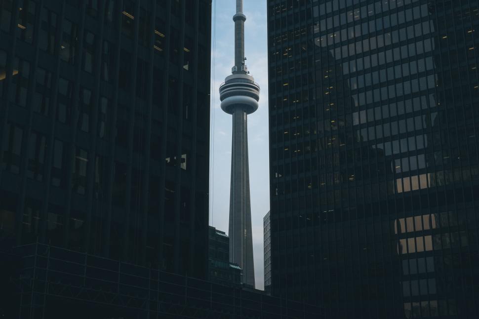 Free Image of Black and White Photo of the CN Tower in Toronto 