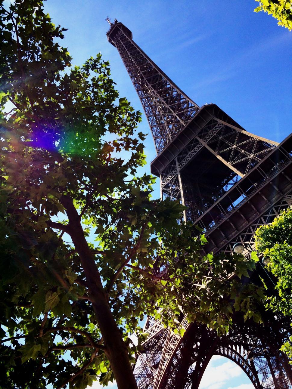 Free Image of View of the Eiffel Tower Through Trees 