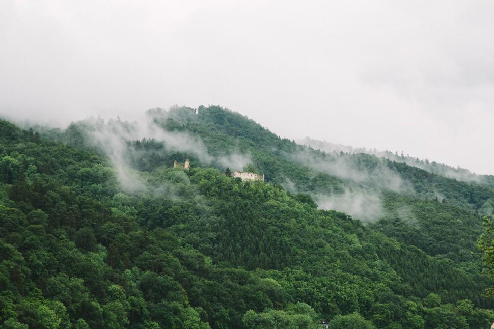 Free Image of Cloud-covered Mountain With Trees 
