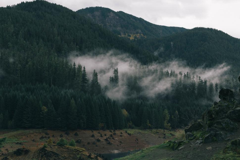 Free Image of Mountain Covered in Fog With Trees in Background 