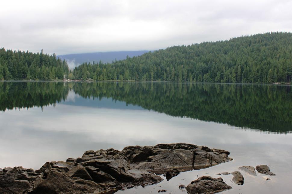 Free Image of Large Body of Water Surrounded by Forest 
