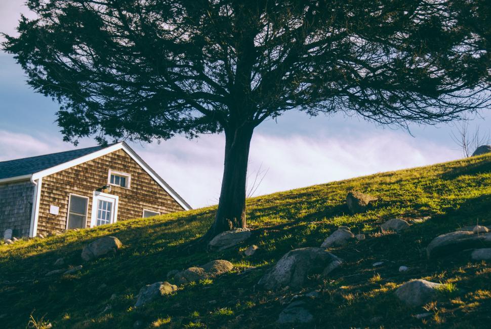 Free Image of House on a Hill With Tree in Foreground 