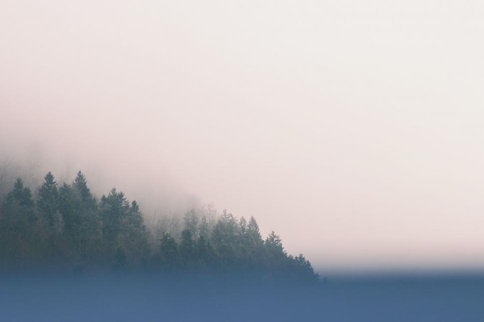 Free Image of Foggy Landscape With Trees in Foreground 