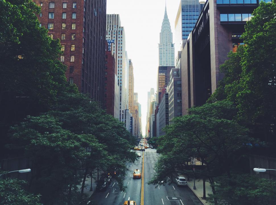 Free Image of Urban Street With Tall Buildings and Trees 