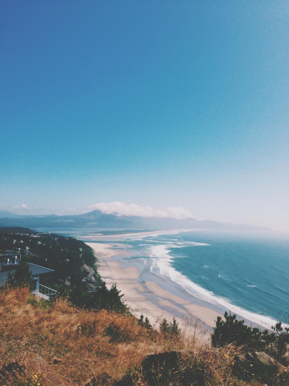 Free Image of Overlooking a Beach From a Hilltop 