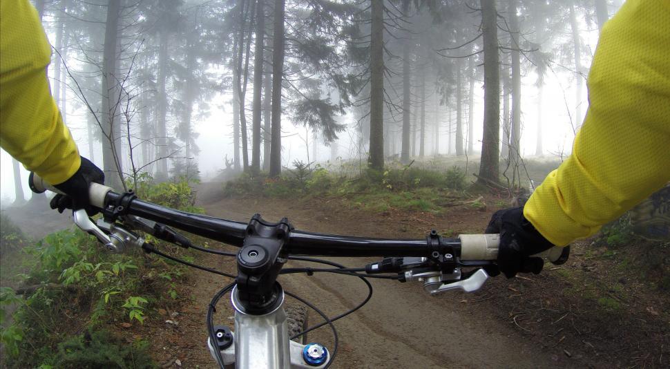 Free Image of Person Riding Bike on Trail in Woods 