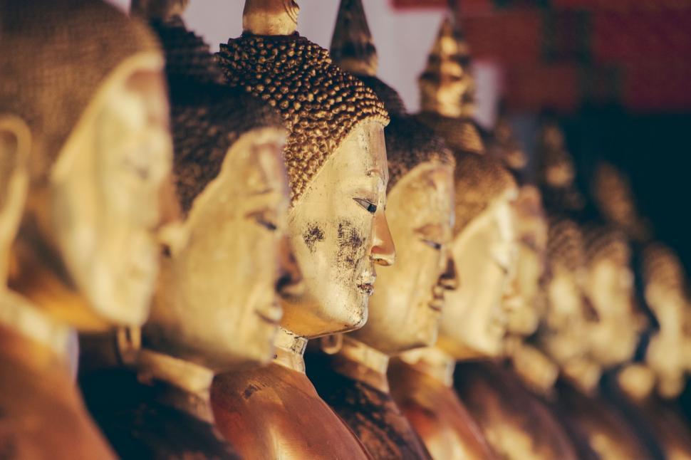 Free Image of Row of Buddha Statues Sitting 