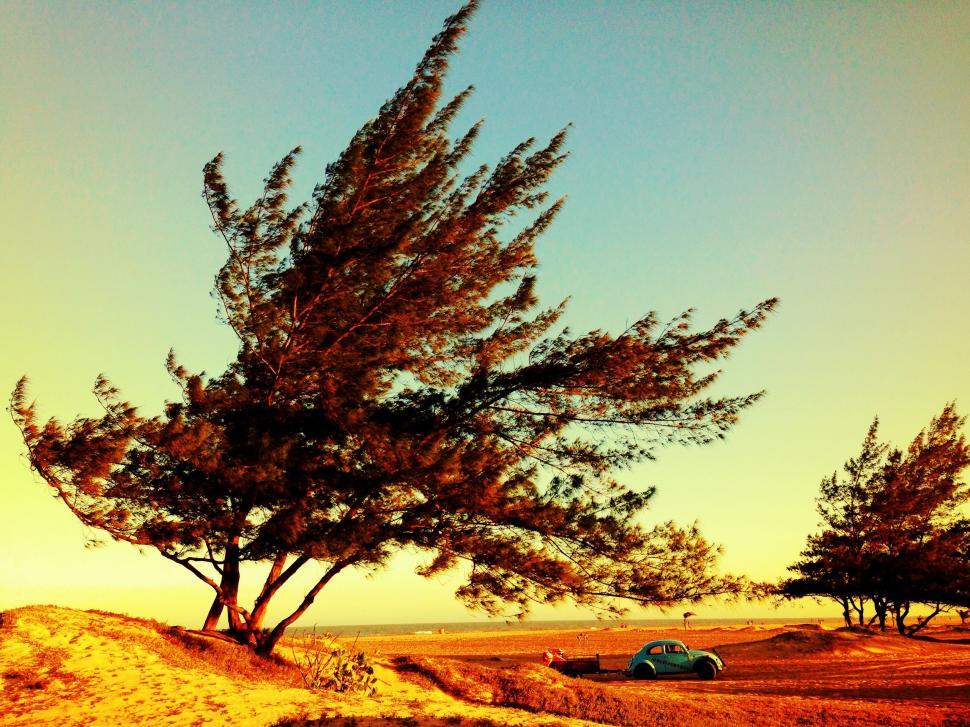Free Image of Car Parked in Field Next to Tree 